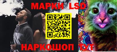 ПСИЛОЦИБИНОВЫЕ ГРИБЫ Кинель