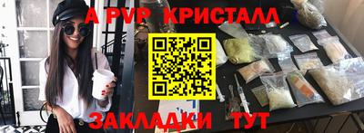 ешки Кингисепп