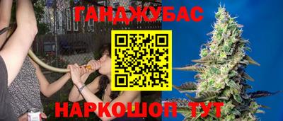 ПСИЛОЦИБИНОВЫЕ ГРИБЫ Кинель