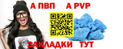 ешки Кингисепп
