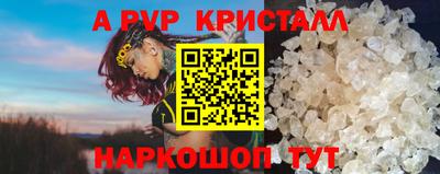 ешки Кингисепп