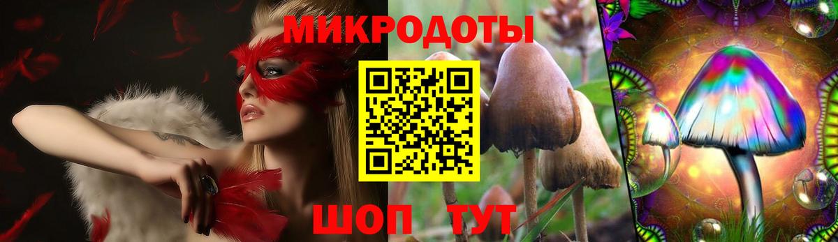 Псилоцибиновые грибы GOLDEN TEACHER  Вход с VPN  Кирово-Чепецк 